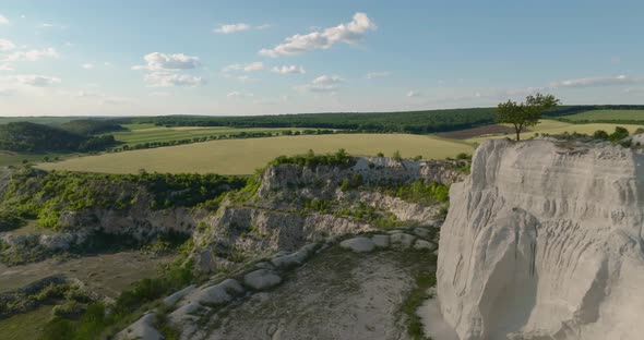 Aerial orbit footage around a cliff with a lonely tree on it with wind turbines on backgorund in qua