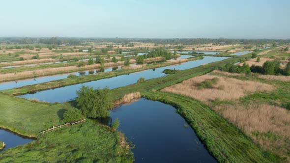 Dutch Polder Farm In Green Countryside Near Weerribben, Netherlands - aerial drone shot