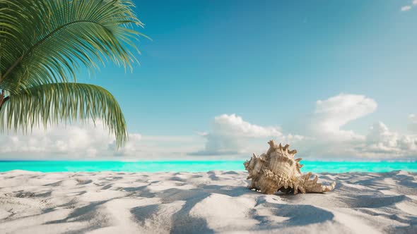 Sandy Beach And Palm