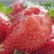 Ripe fresh strawberries close up.  Organic ripe strawberry. Concept of hygiene, diet and healthy - VideoHive Item for Sale
