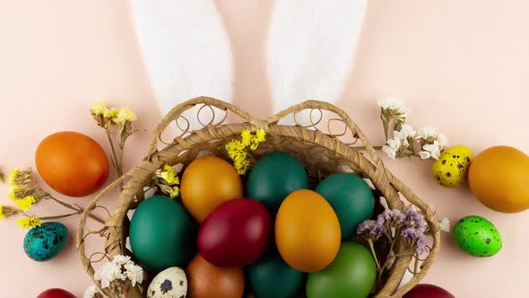 Basket with Painted Colorful Eggs White Ears Easter Bunny