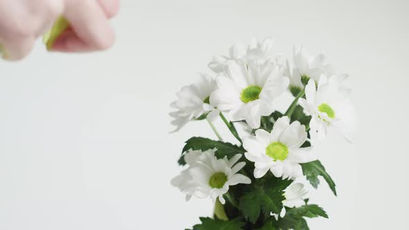 Spraying water on a flower