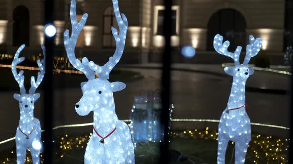 Christmas deer in lights.