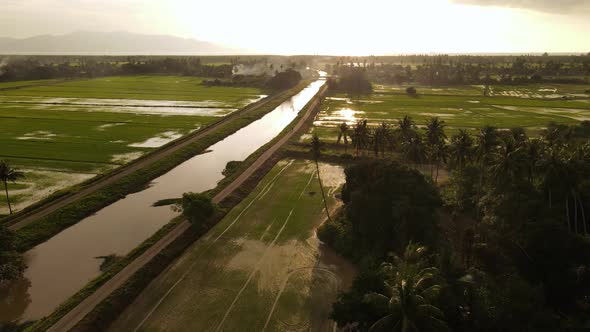 Aerial view fly over paddy field in rainy day