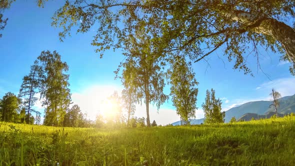 Mountain Meadow Time-lapse at the Summer or Autumn Time. Wild Nature and Rural Field. Motorised