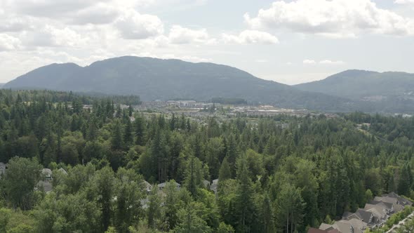 Homes and Businesses Amongst Trees in Issaquah Highlands Washington USA - Aerial View