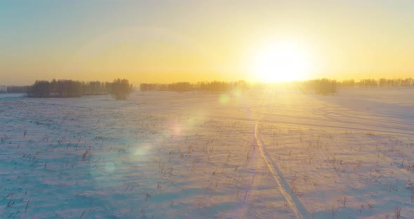 Aerial Drone View of Cold Winter Landscape with Arctic Field Trees Covered with Frost Snow and