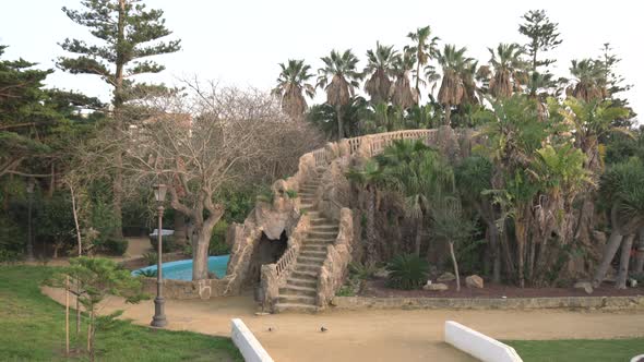 Step stairs and palm trees