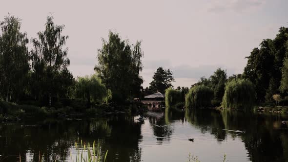 lake in a beautiful park with a house on the shore