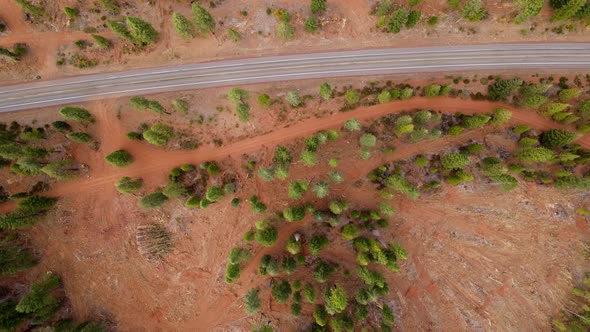 Aerial shot of a logged forest