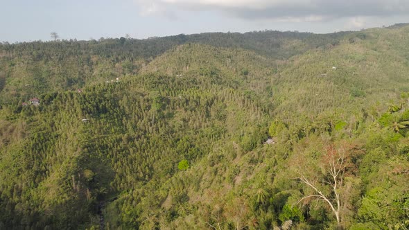 Tropical Landscape Rainforest and Mountains