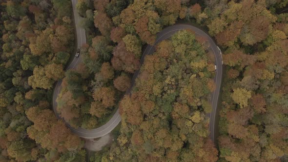 Double s-curve at a fall colored forest with driving cars, filmes by a drone - flat profile