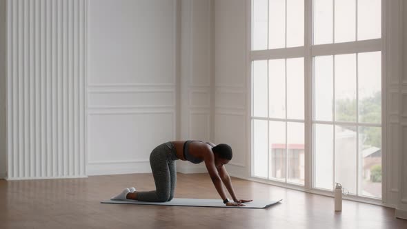 Flexible Black Woman In Sportswear Stretching Her Back While Training At Home