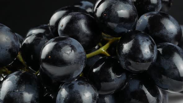 Dark blue grape on black background