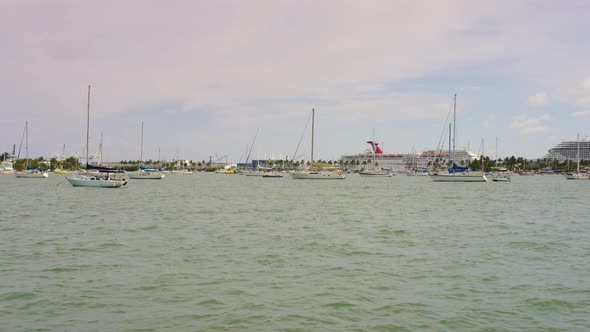 Large and small boats in the harbor