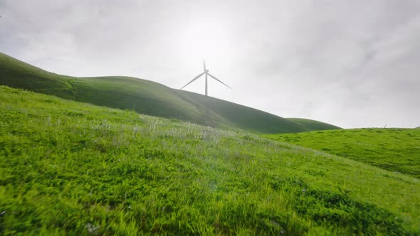 Drone Flying Low Above Bright Juicy New Green Grass to Windmill with Lens Flare