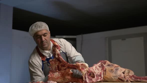 Butcher Cuts Fresh Beef Meat Using Sharped Butcher Knife Meat Production and Food Industry the