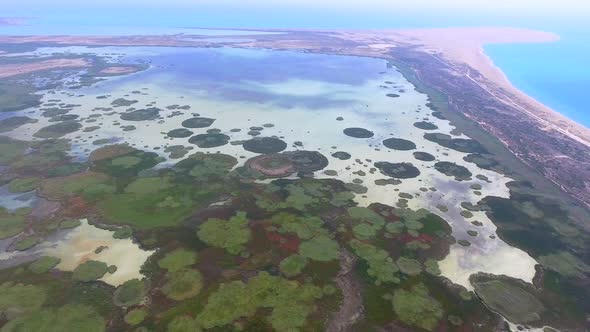 Reeds Covered Lake