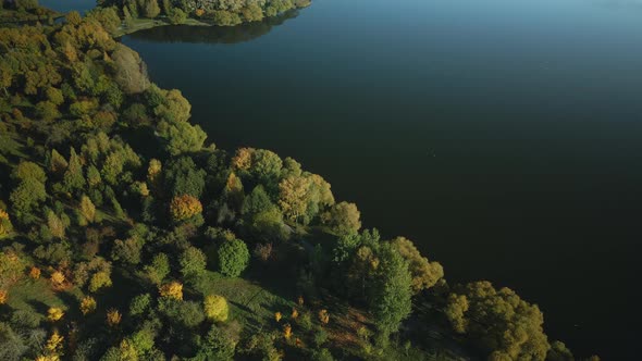 Flight Over The Autumn Park. Trees With Yellow Autumn Leaves Are Visible.