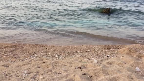 View of Plastic Waste and Garbage on Sea Shore