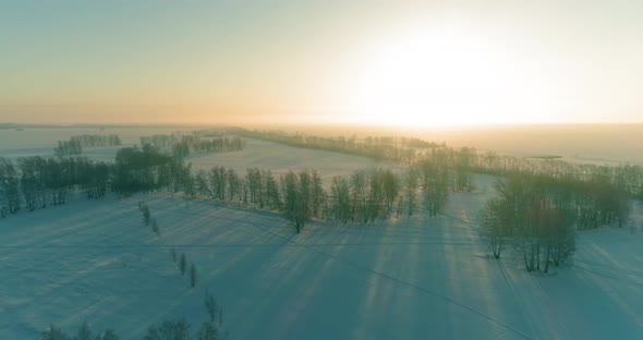 Aerial Drone View of Cold Winter Landscape with Arctic Field Trees Covered with Frost Snow and