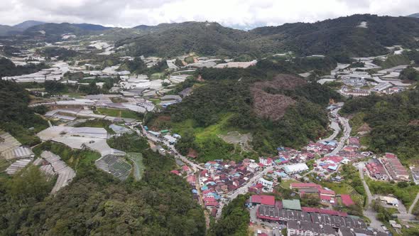 Cameron Highlands, Pahang Malaysia