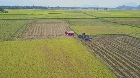 Close Aerial View Men Repair Lorry By Combine Harvester