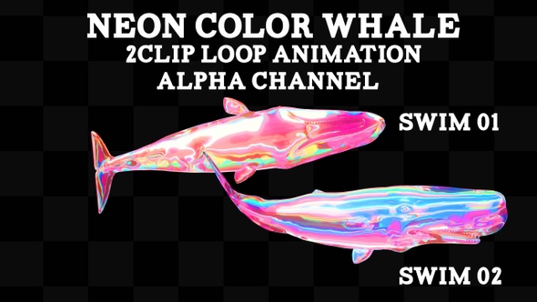 Neon Color Whale 2 Clip Loop alt
