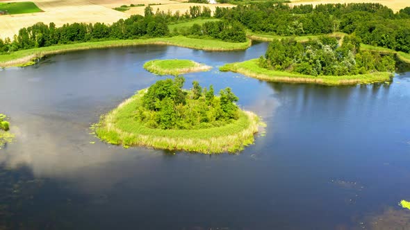 Stunning blue lake and green forest in summer, aerial view