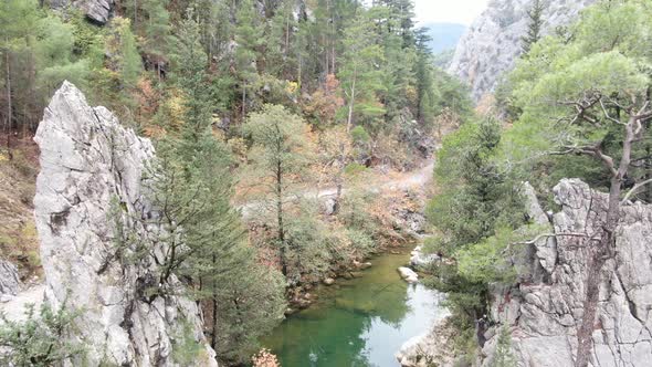 A River Surrounded with Forest