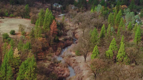 Valley Trees Mountain