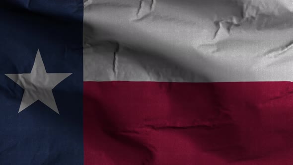 Texas State Flag 4K