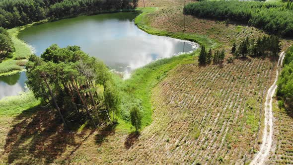  Lake and Green Forest. Aerial View.