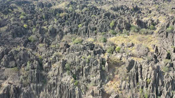 Bandilngan (Windjana Gorge) National Park Gibb River Western Australia 4K Aerial Drone