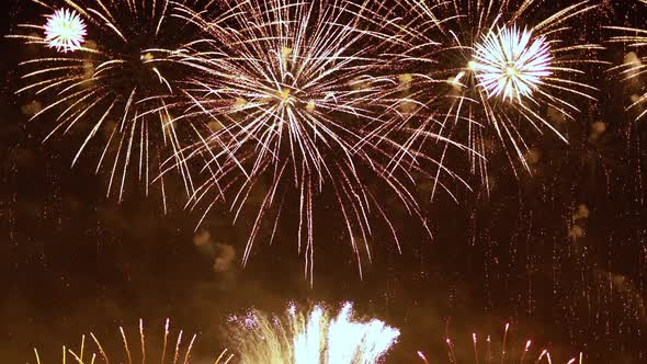 Colorful Fireworks Exploding in the Night Sky