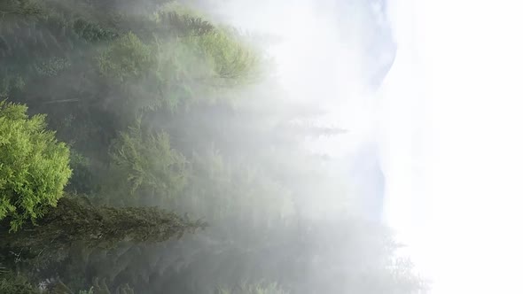 Vertical Video of Fog in the Mountains