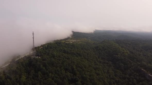 Green mountain forest landscape of Tennessee -aerial