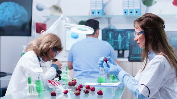 In Biology Research Center Scientist Are Looking at Fruits alt