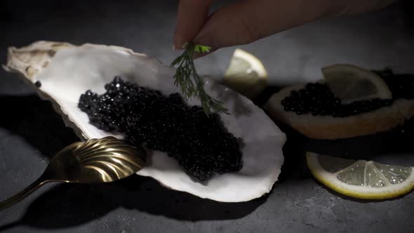 Black Caviar Is Served on a Plate in the Form of a Real Shell with Mother of Pearl