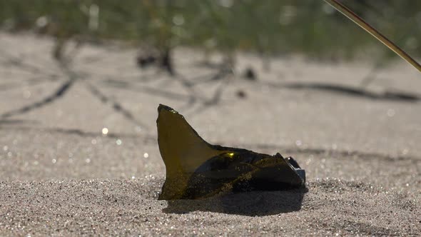 Beach Pollution