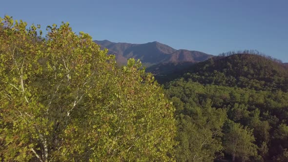 Cinematic Mountain Reveal 4K - Valley, Mountains, Trees