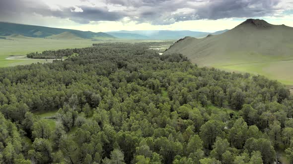 Trees, Forest and Vast Meadow in The Big River in Wide Valley of Asia Geography