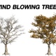 Wind blowing AmericanSycamore Tree - VideoHive Item for Sale