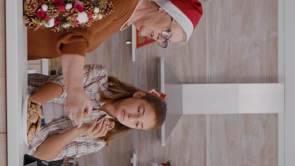 Vertical Video Grandmother Watching Xmas Online Video with Granddaughter on Tablet While Grandfather