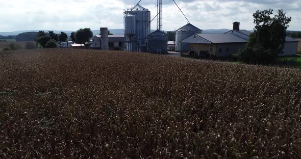 Aerial camera flying up and over cornfields towards grain silo with US flag at top and distant mount