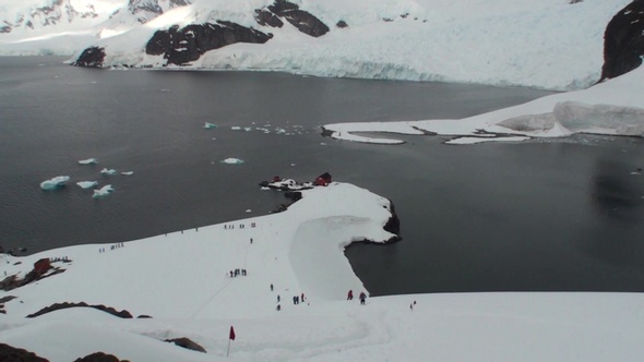 Antarctica. There are a lot of penguins resting on the rocks at Hope Bay. Antarctic Peninsula.