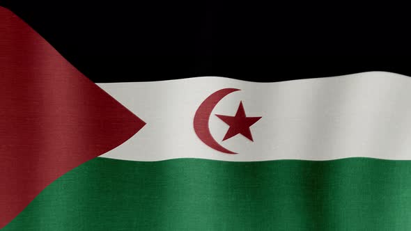 The National Flag of Western Sahara