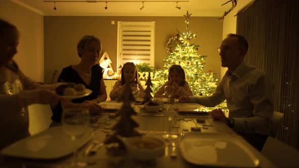 Young Daughter Serving Christmas Dinner