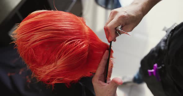 High angle view woman having her hair cut by a hairdresser