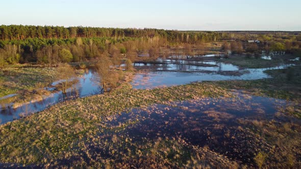 Flooded valley of the river in Spring